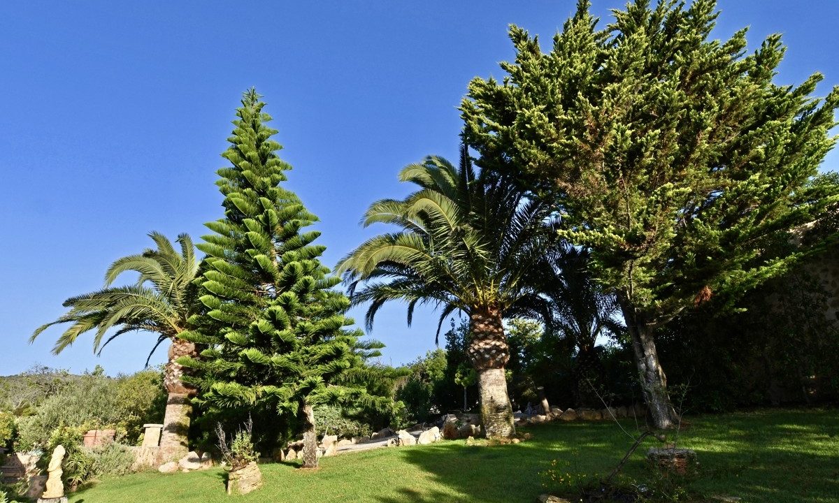 Garten